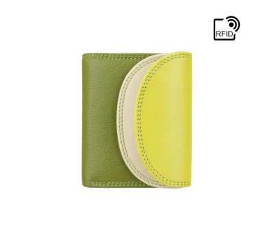 Гаманець жіночий Visconti RB126 Zanzibar (Lime Multi)