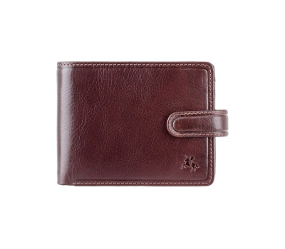 Гаманець чоловічий Visconti TSC48 Filipo c RFID (Brown)