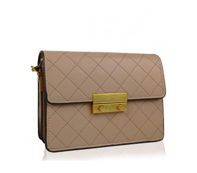 Женская бежевая маленькая сумка W16-160BG
