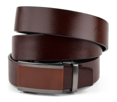 Ремінь чоловічий з коричневою вставкою на пряжці Vintage 20286 Коричневий
