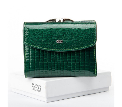 Кошелек LR кожа-лак SERGIO TORRETTI WS-11 dark-green