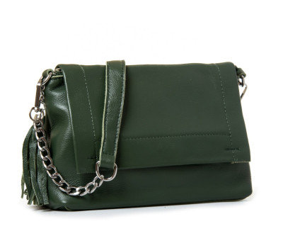 Сумка Жіноча Класична шкіра ALEX RAI 8722-9 green