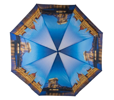 Парасолька Автомат Жіночий понж SL SL21307 - 4