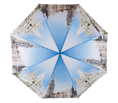 Парасолька Автомат Жіночий понж SL SL21307 - 2