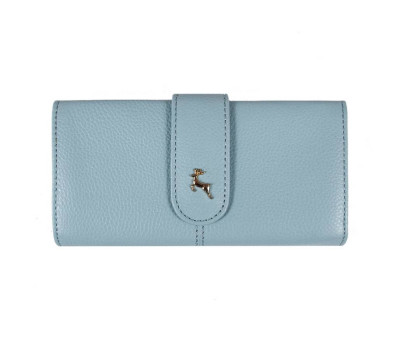 Гаманець жіночий Ashwood J53 WINTER SKY (Зимне небо)