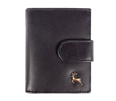 Гаманець жіночий Ashwood V61 BLK