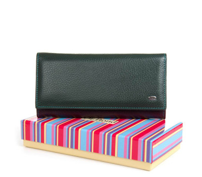 Гаманець Шкіряний Жіночий Rainbow DR. BOND WRS-501-2 green