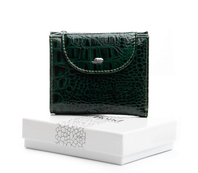 Гаманець PE Жіночий шкіра DR. BOND PEW44-1 green