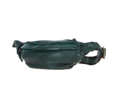 Сумка на пояс Ashwood D102 (Green)