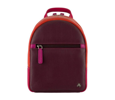 Жіночий шкіряний рюкзак Visconti S46 Molly (Plum)