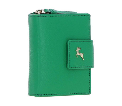 Гаманець жіночий Ashwood X30 (Green)
