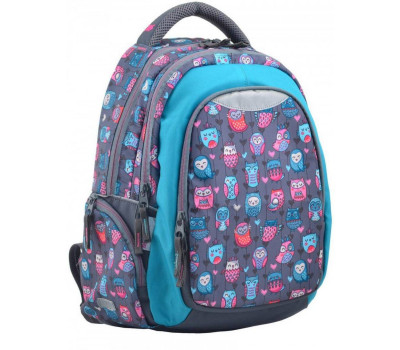 Шкільний рюкзак YES 31х45х15 см 20 л для дівчаток Т-22 Wise Owl (554788)