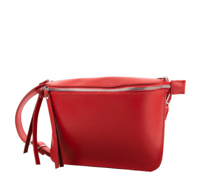 Жіноча шкіряна поясна сумка ETERNO (ЕТЕРНО) AN-K139-KR