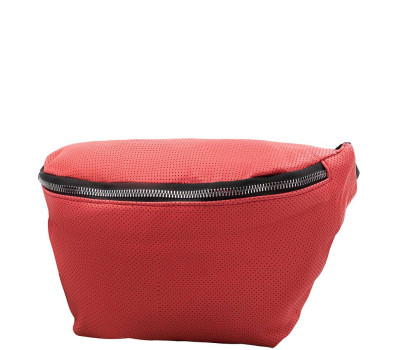 Жіноча шкіряна сумка поясна TUNONA (ТУНОНА) SK2464-13