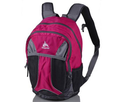 Дитячий рюкзак ONEPOLAR (ВАНПОЛАР) W1513-pink