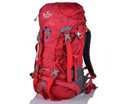Жіночий рюкзак туриста ONEPOLAR (ВАНПОЛАР) W1632-red